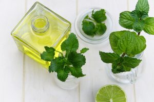 Alternative Medizin: Naturheilverfahren
