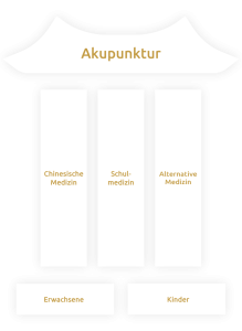 Drei Säulen Akupunktur